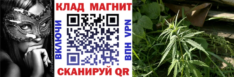 Что такое Волосово Канабис  A PVP  ГАШ  Кокаин 