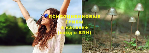 спайс Верея