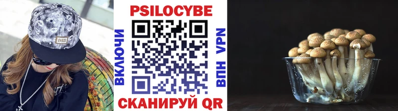 Псилоцибиновые грибы Psilocybine cubensis  цены наркотик  Волосово 